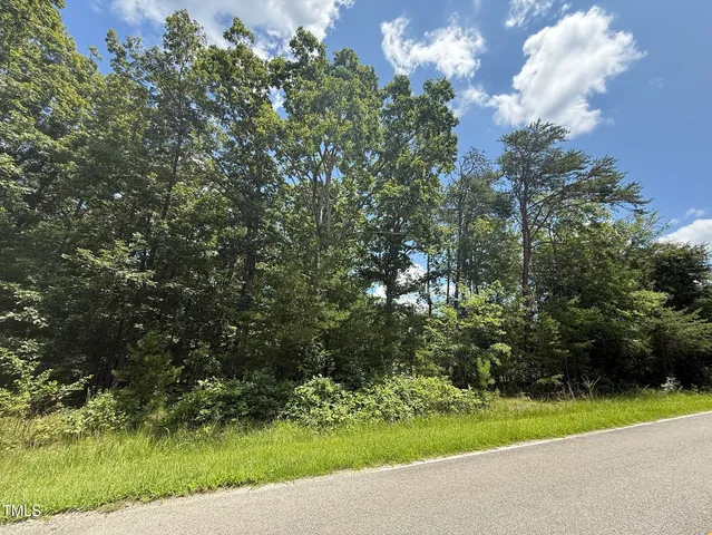a view of a yard with plants and large trees