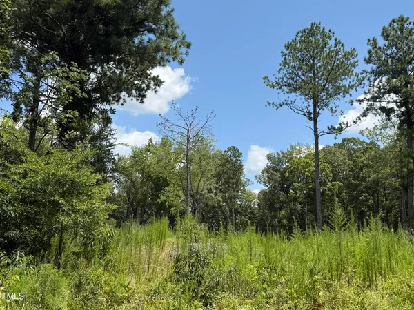 $425,000 | 2210 Harris Road, Rougemont, NC 27572