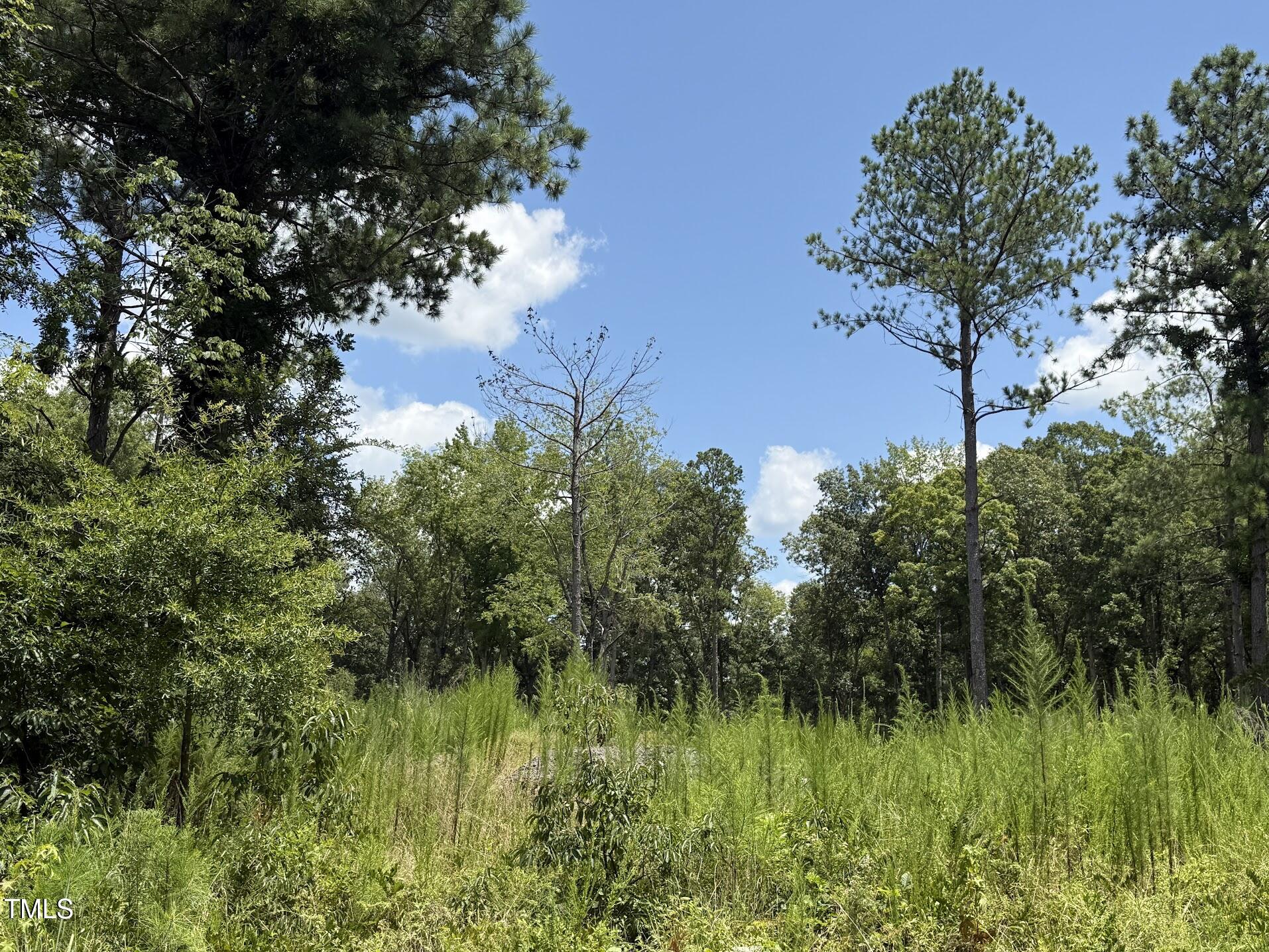 2210 Harris Road Rougemont, NC 27572 - Photo 9 of 10 IMG_8650