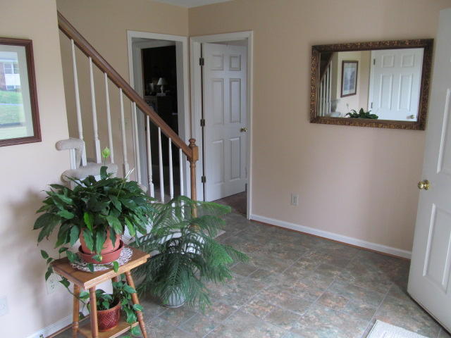 138 Timberline Drive Blue Ridge, VA 24064 - Photo 11 of 32 a potted plant sitting in front of a bathroom