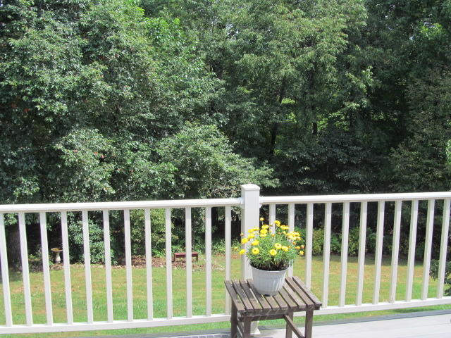 138 Timberline Drive Blue Ridge, VA 24064 - Photo 3 of 32 a view of a chair in a patio