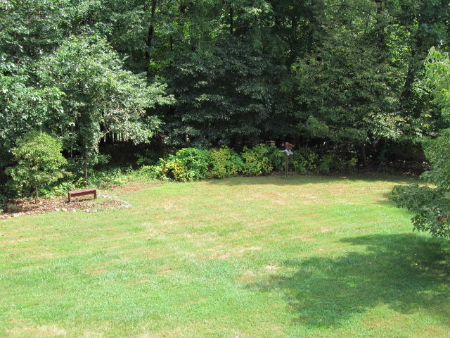 138 Timberline Drive Blue Ridge, VA 24064 - Photo 4 of 32 a backyard of a house with yard and green space