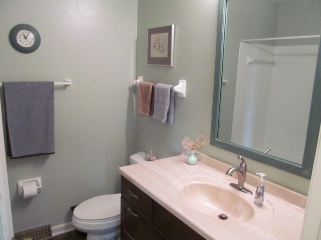 138 Timberline Drive Blue Ridge, VA 24064 - Photo 31 of 32 a bathroom with a sink a toilet and mirror