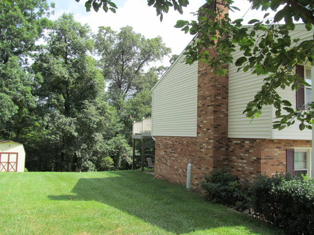 138 Timberline Drive Blue Ridge, VA 24064 - Photo 7 of 32 a view of a backyard with plants and large trees