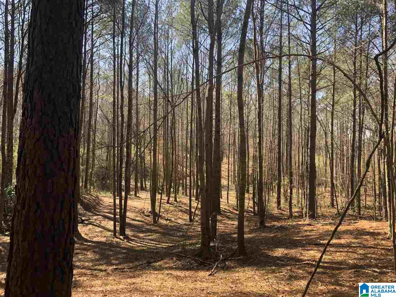 Campbell Street, Unit 1 Heflin, AL 36264 - Photo 10 of 15
