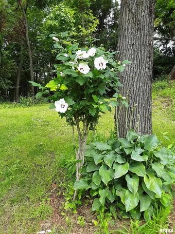 $675,000 | 7216 Valley Drive, Bettendorf, IA 52722