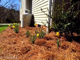 137 Timber Creek Road Advance, NC 27006 - Photo 3 of 19 Gallery Image 3
