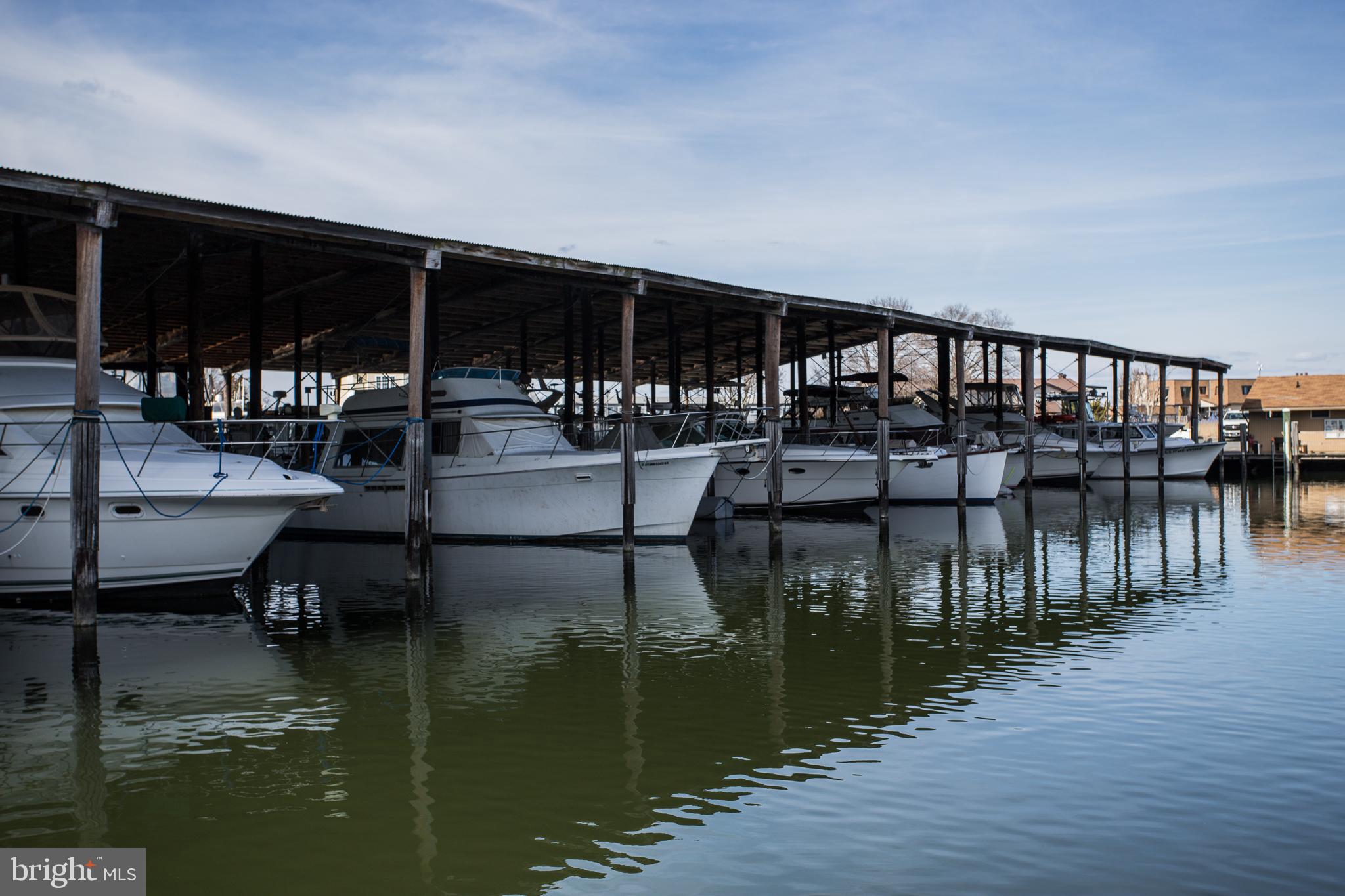 9 Piney Narrows Road Chester, MD 21619 - Photo 16 of 39 View of D Dock