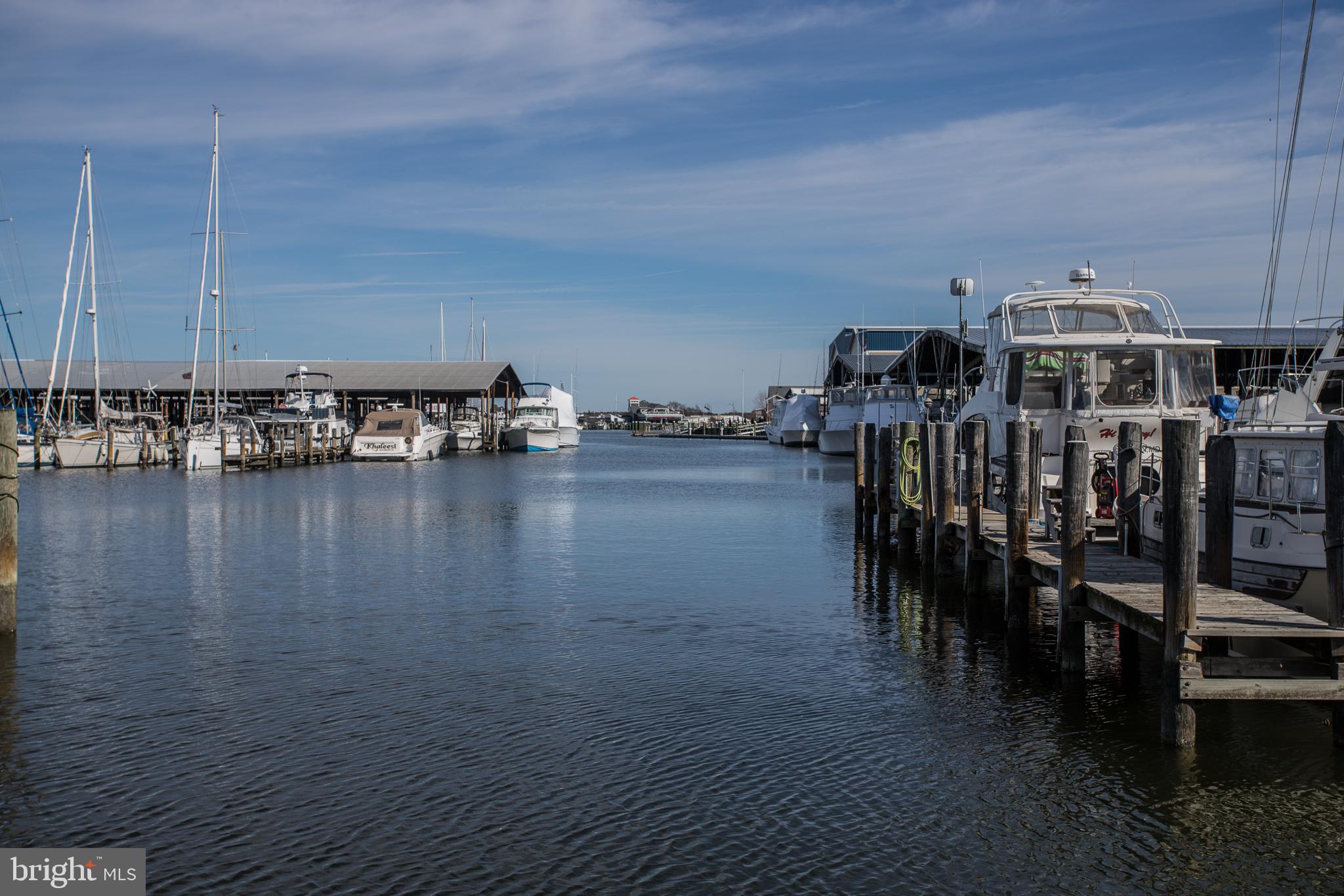 9 Piney Narrows Road Chester, MD 21619 - Photo 24 of 39 View of marina from Piney Narrows Road