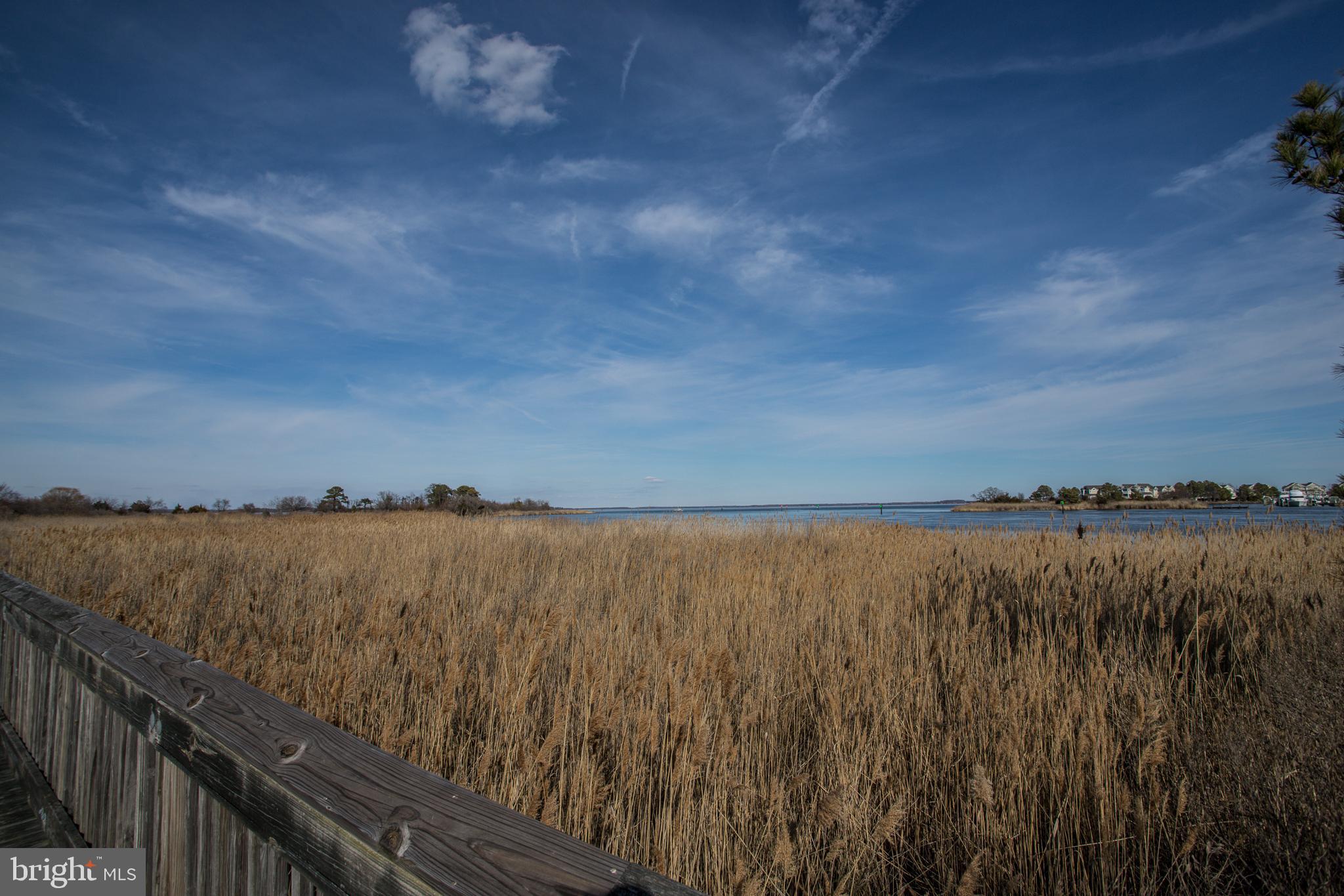 9 Piney Narrows Road Chester, MD 21619 - Photo 31 of 39 Par k views