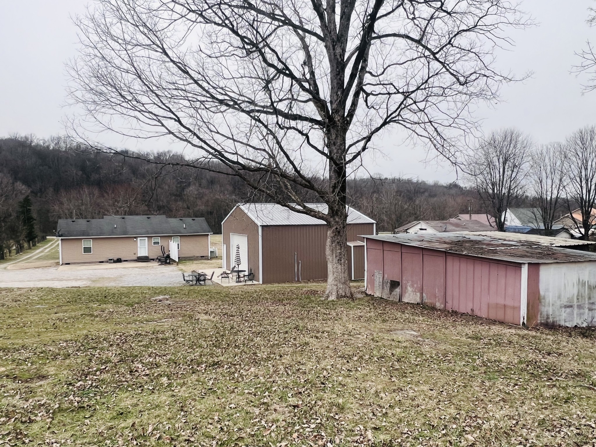 8659 Dog Branch Road Mount Pleasant, TN 38474 - Photo 11 of 36 a view of a house with a yard covered in snow