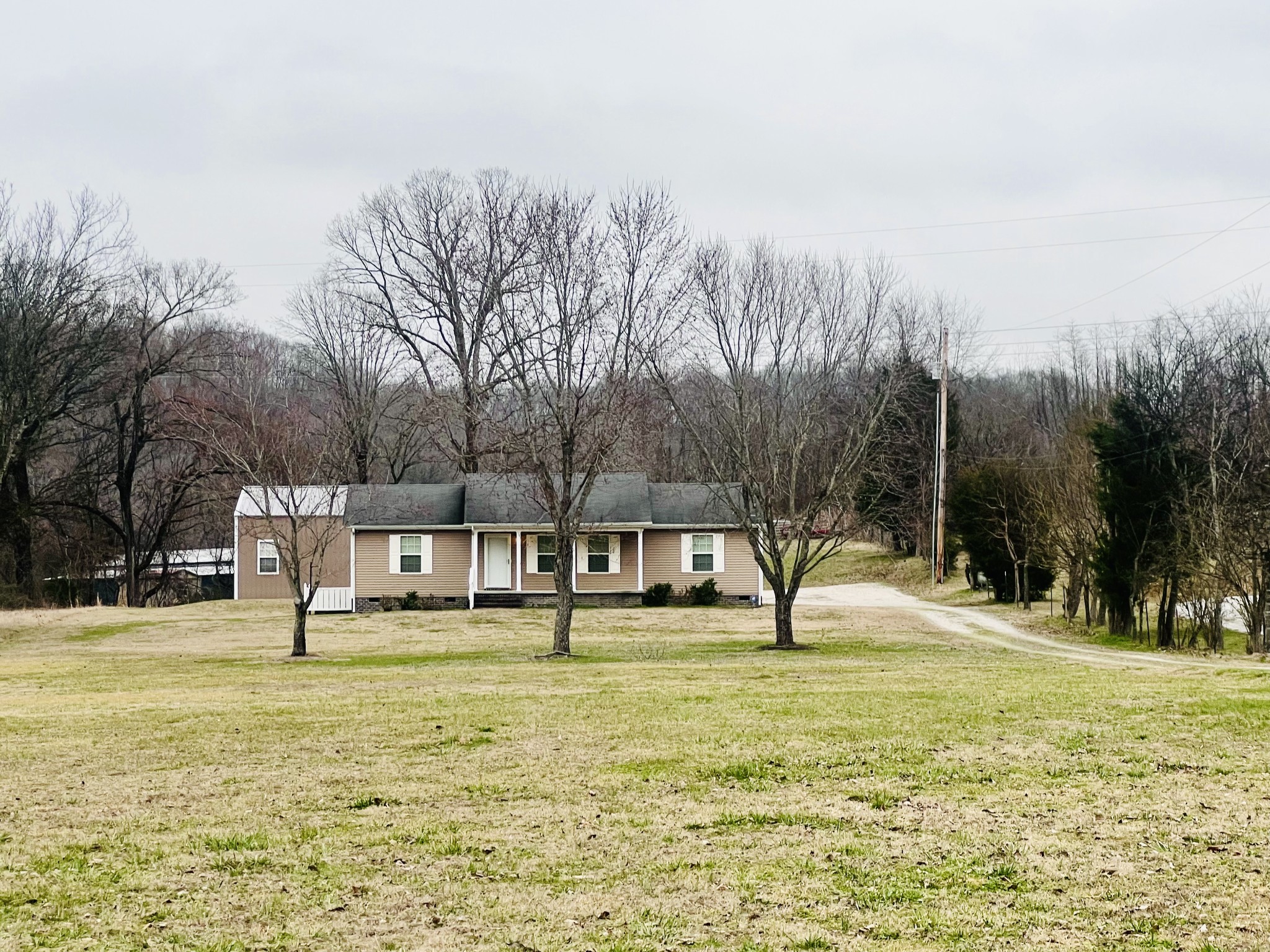 8659 Dog Branch Road Mount Pleasant, TN 38474 - Photo 3 of 36 a swimming pool view with a trees in the background