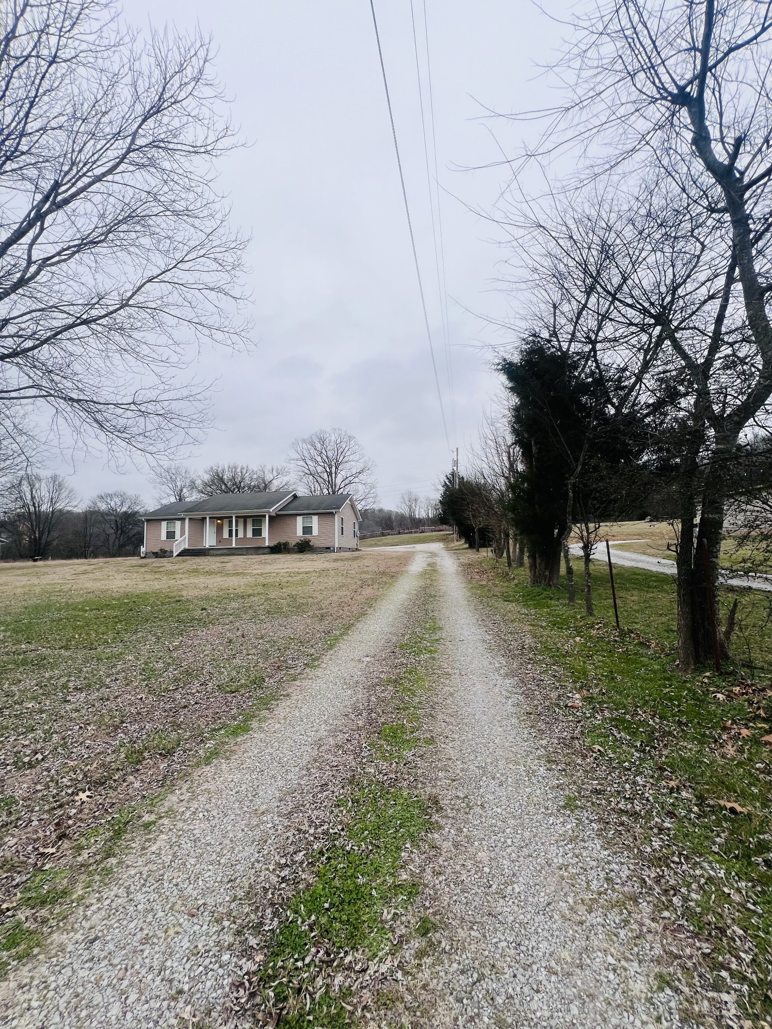 8659 Dog Branch Road Mount Pleasant, TN 38474 - Photo 5 of 36 a view of green field with trees