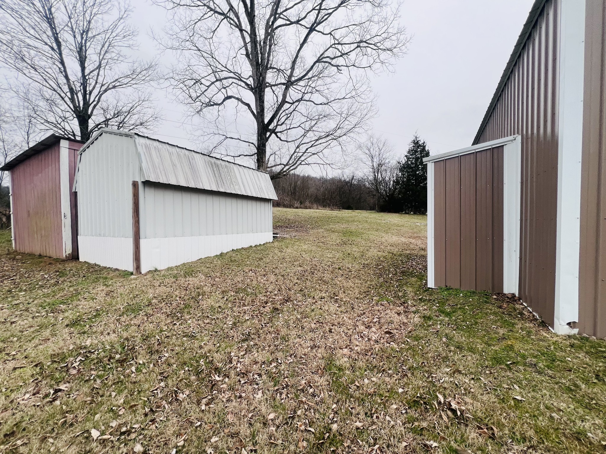 8659 Dog Branch Road Mount Pleasant, TN 38474 - Photo 8 of 36 a view of a backyard of the house