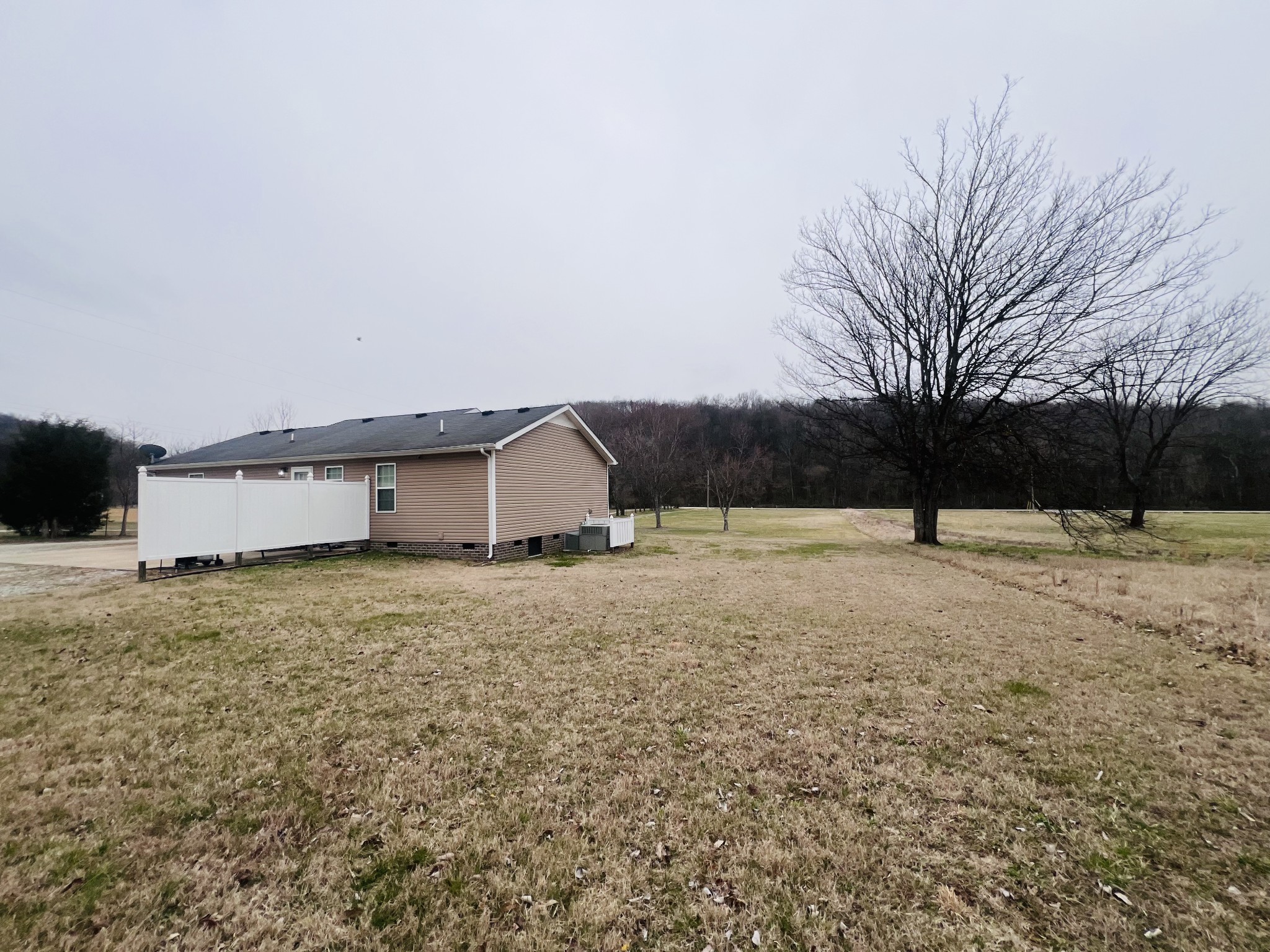 8659 Dog Branch Road Mount Pleasant, TN 38474 - Photo 9 of 36 a house view with a backyard