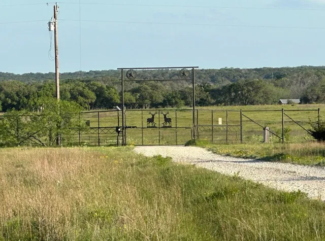 a view of a garden with a play ground