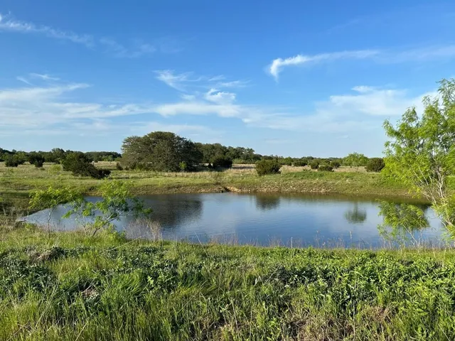 a view of a lake with a city