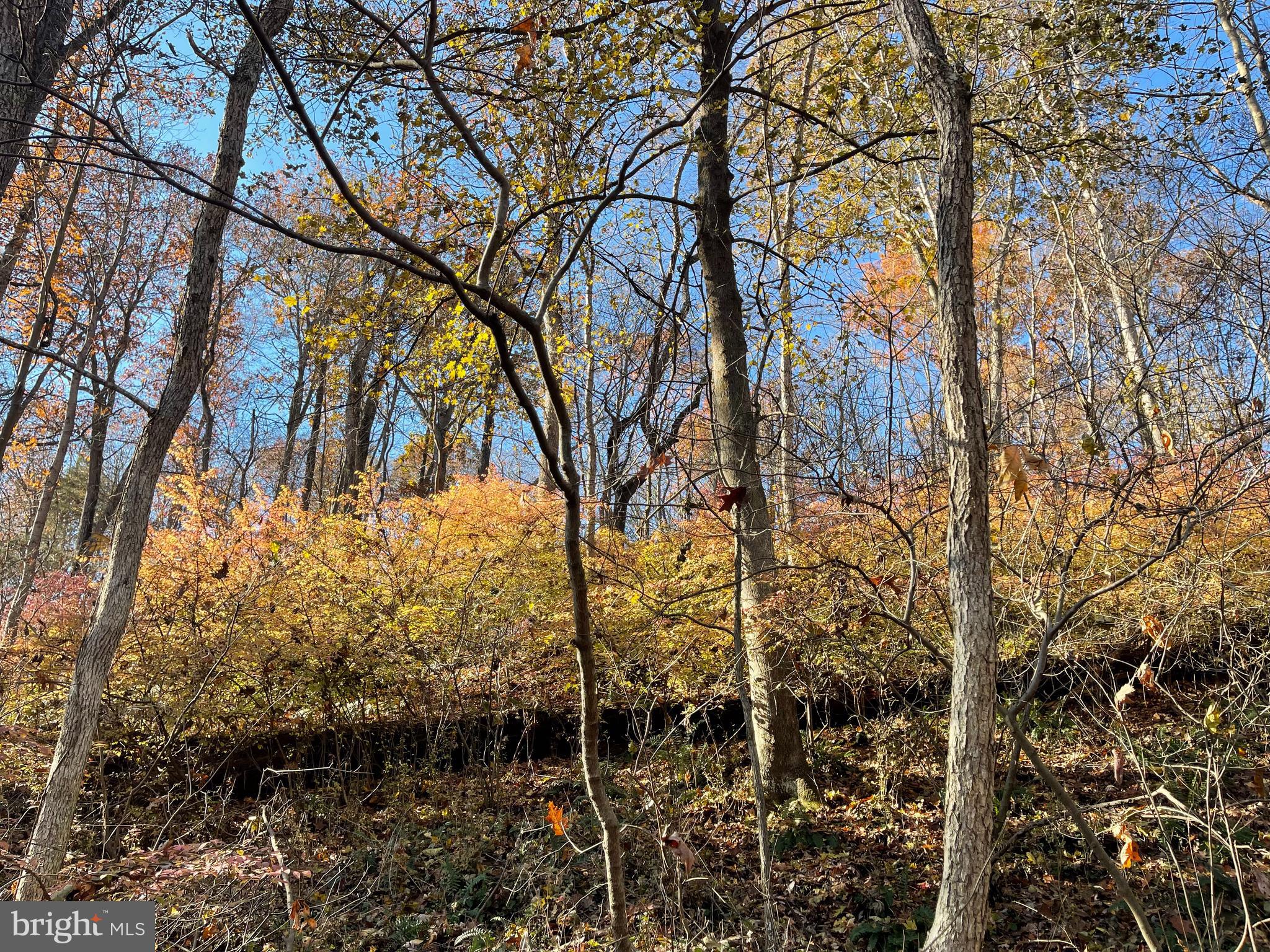 1411 Blue Ball Road New Park, PA 17352 - Photo 101 of 114 Gallery Image 101