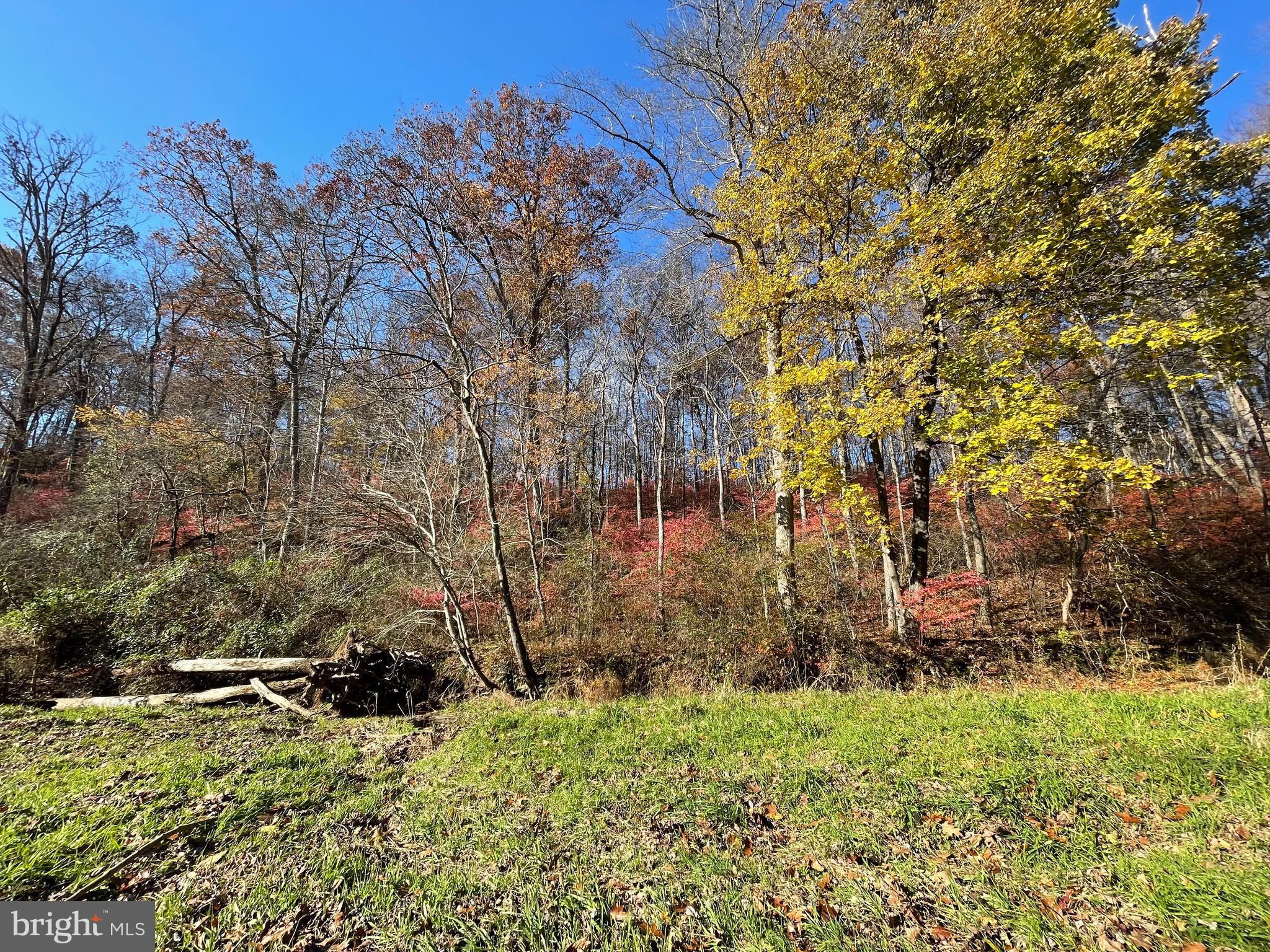1411 Blue Ball Road New Park, PA 17352 - Photo 97 of 114 Gallery Image 97