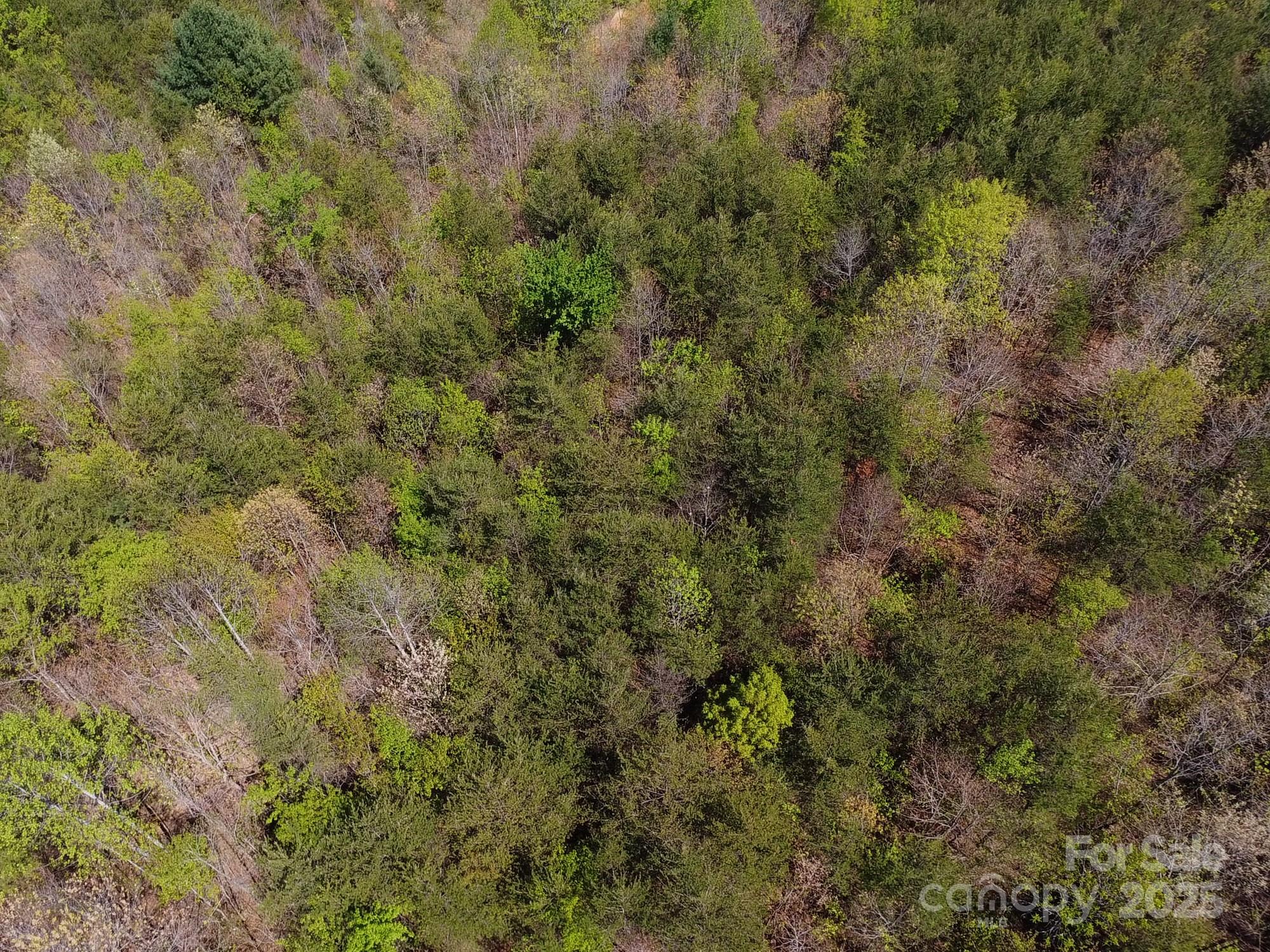0 Snowhill Church Road Morganton, NC 28655 - Photo 39 of 40