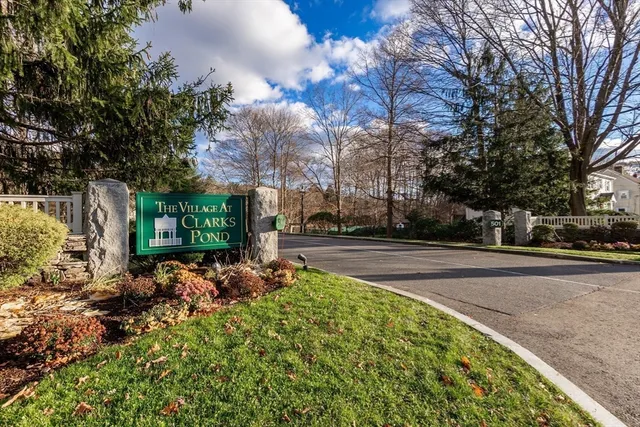 a view of a park with large trees