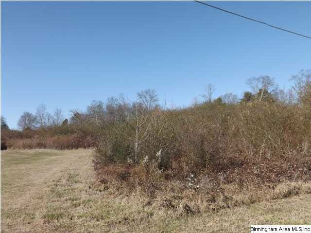 New Prospect Church Road, Unit 16 Horton, AL 35980 - Photo 9 of 20