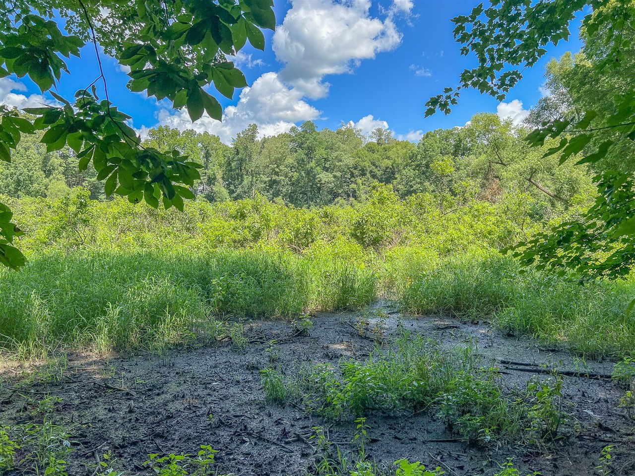 Vl Oak Forest Road Buchanan, MI 49107 - Photo 10 of 10