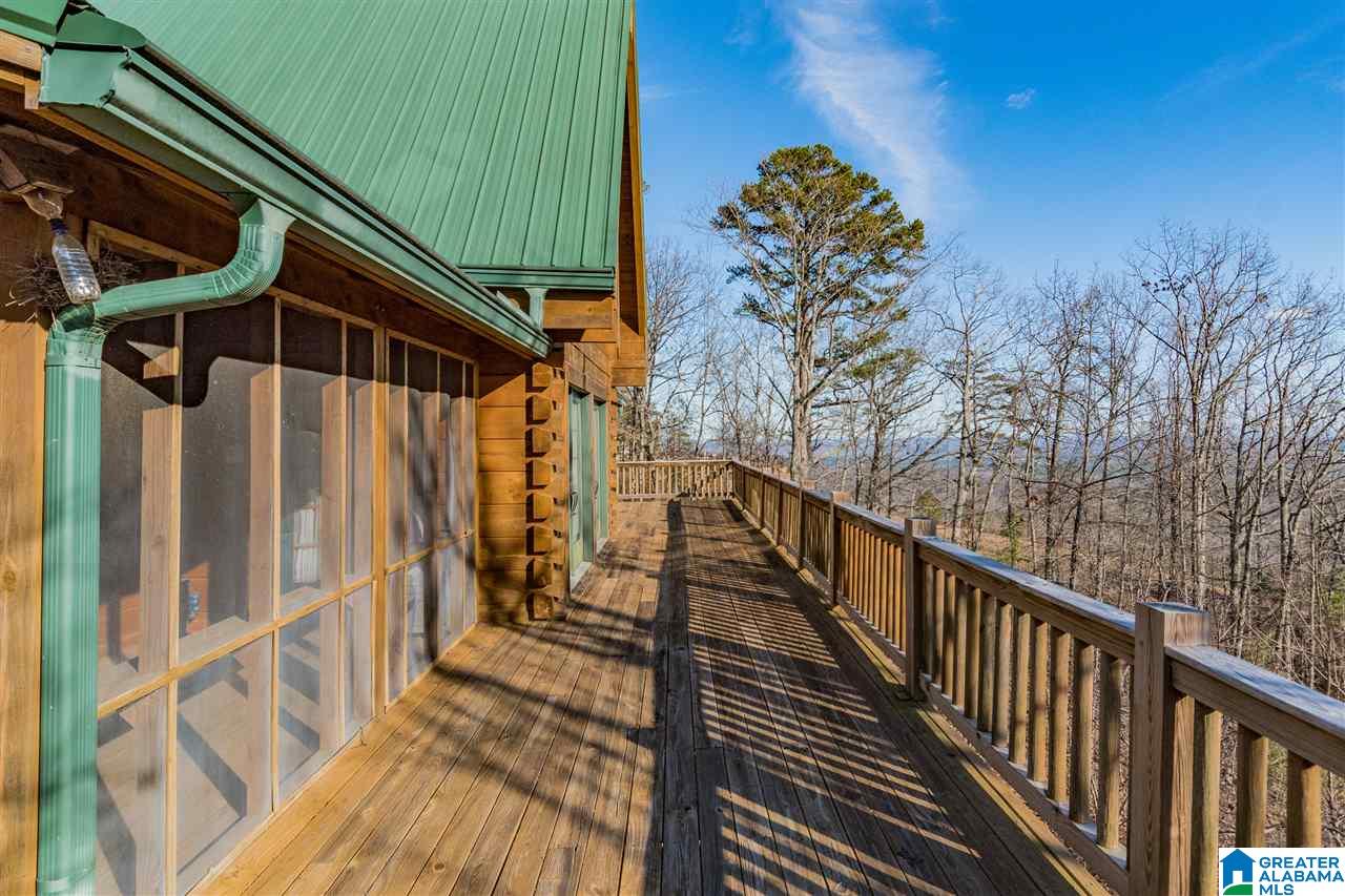 114 Scenic Peak Road Springville, AL 35146 - Photo 40 of 48