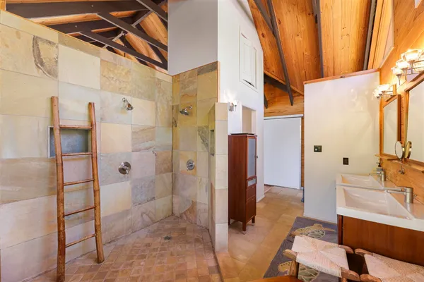 a view of a garden with plants