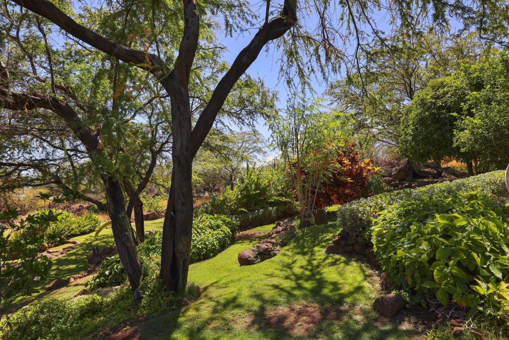 115 Ulua Road Kaunakakai, HI 96748 - Photo 44 of 49 a backyard of a house with lots of green space
