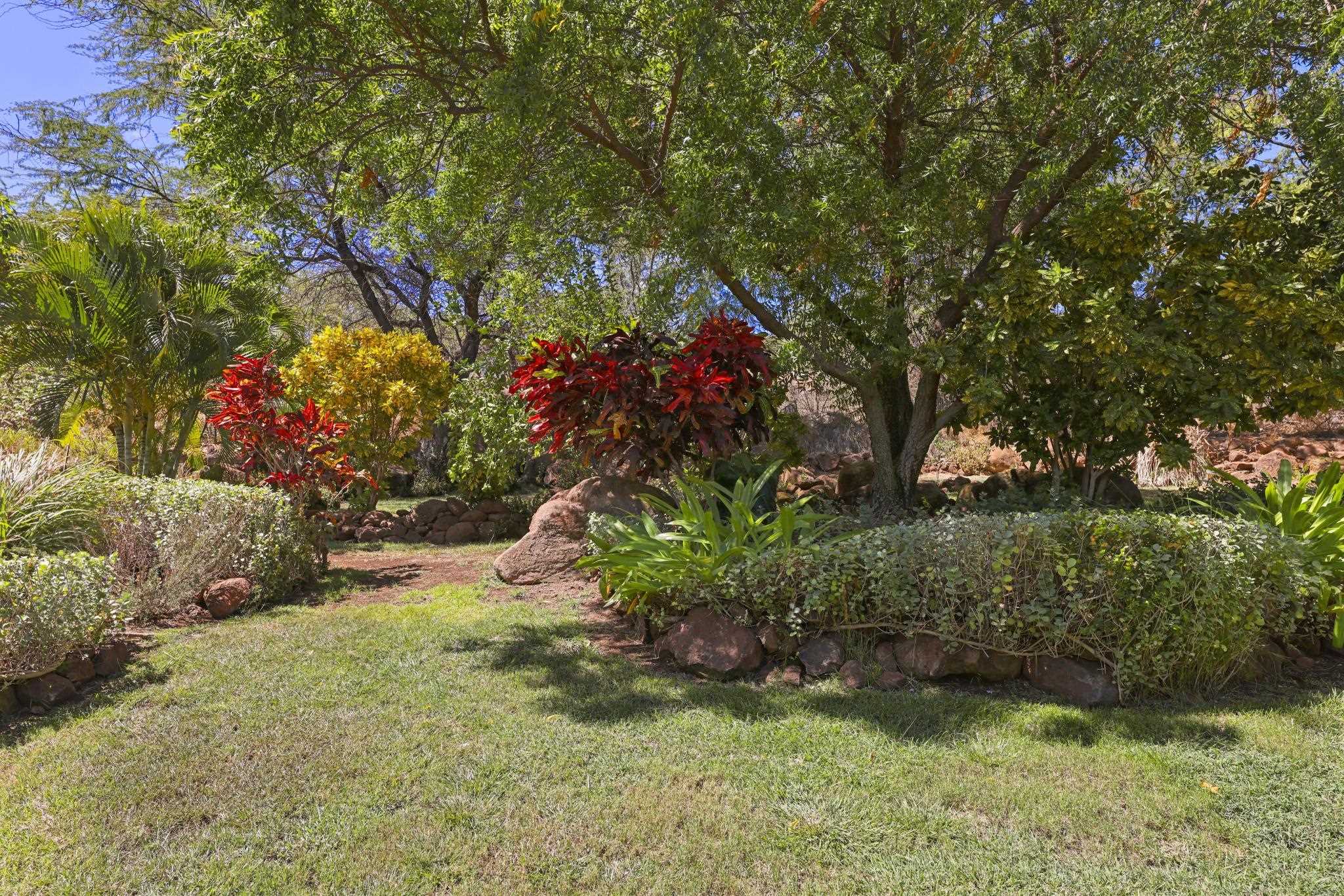 115 Ulua Road Kaunakakai, HI 96748 - Photo 46 of 49 a view of a garden with plants and large trees