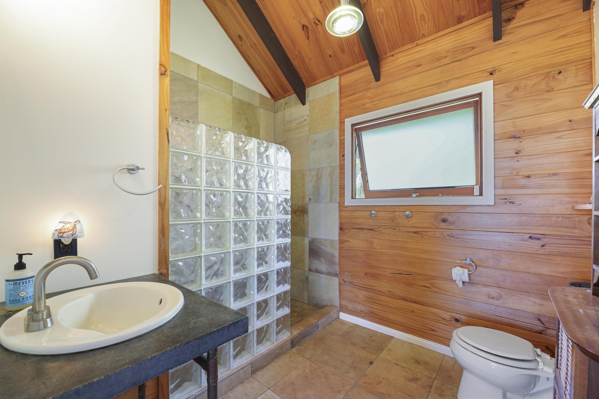 115 Ulua Road Kaunakakai, HI 96748 - Photo 47 of 49 a bathroom with a sink a toilet and shower