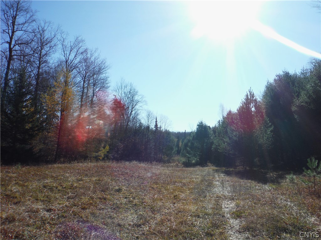 X Buck Lake Road Port Leyden, NY 13433 - Photo 49 of 50 view from cabin to meadow