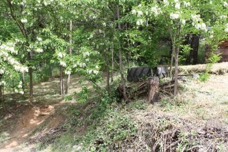 98 Canyon Creek Road Junction City, CA 96048 - Photo 11 of 17
