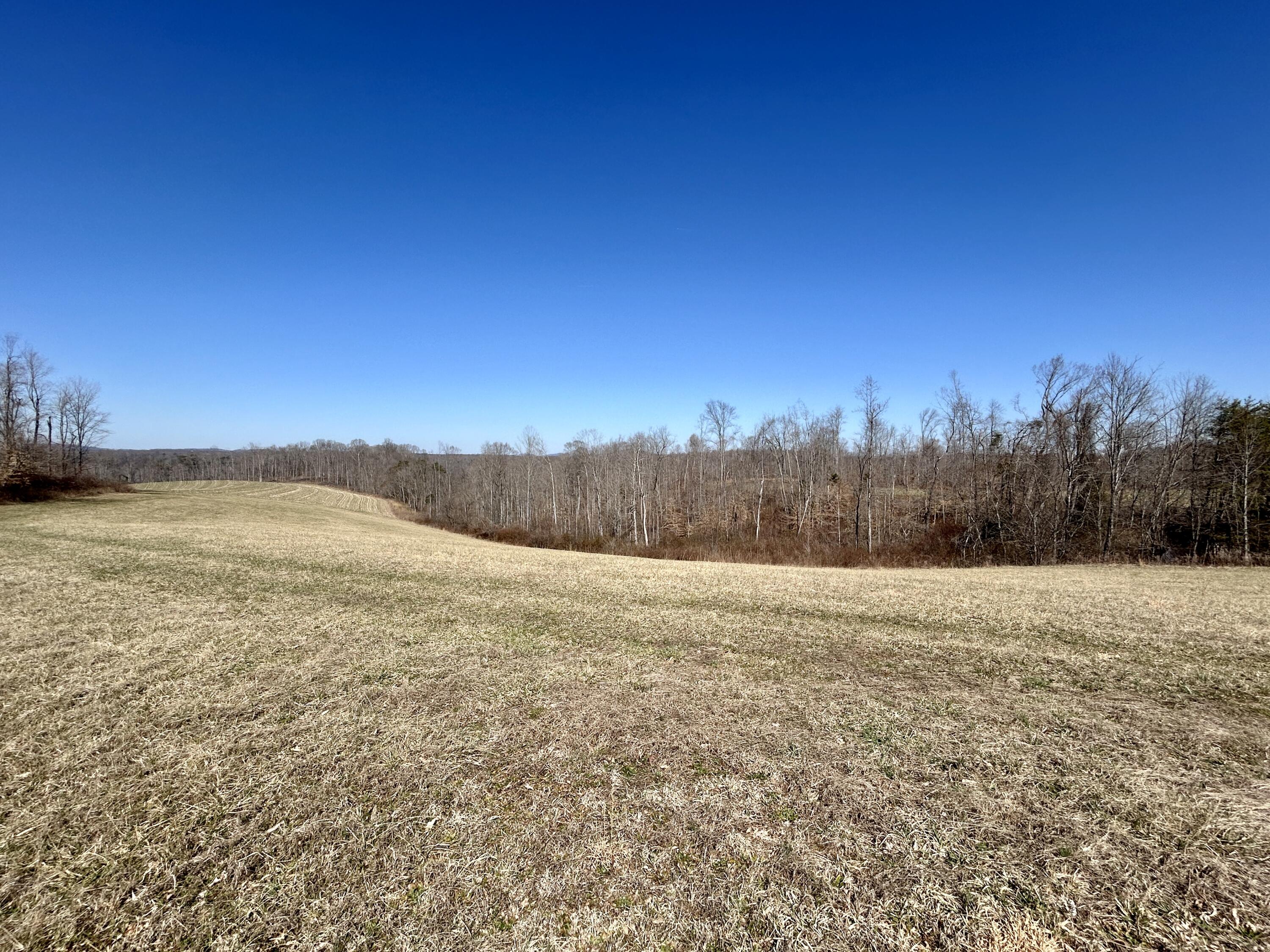 2905 Beech Grove Road Science Hill, KY 42553 - Photo 16 of 26 IMG_6486