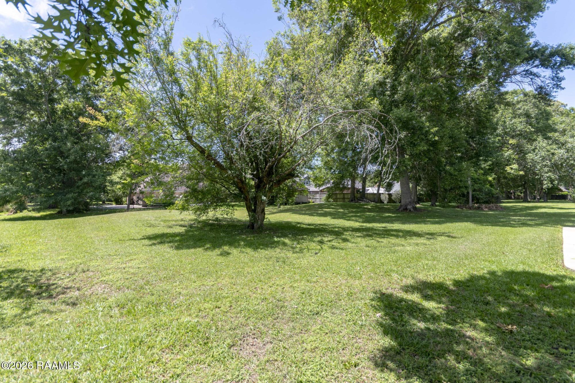 2014 Old Jeanerette Road New Iberia, LA 70563 - Photo 35 of 35 Back Yard 1
