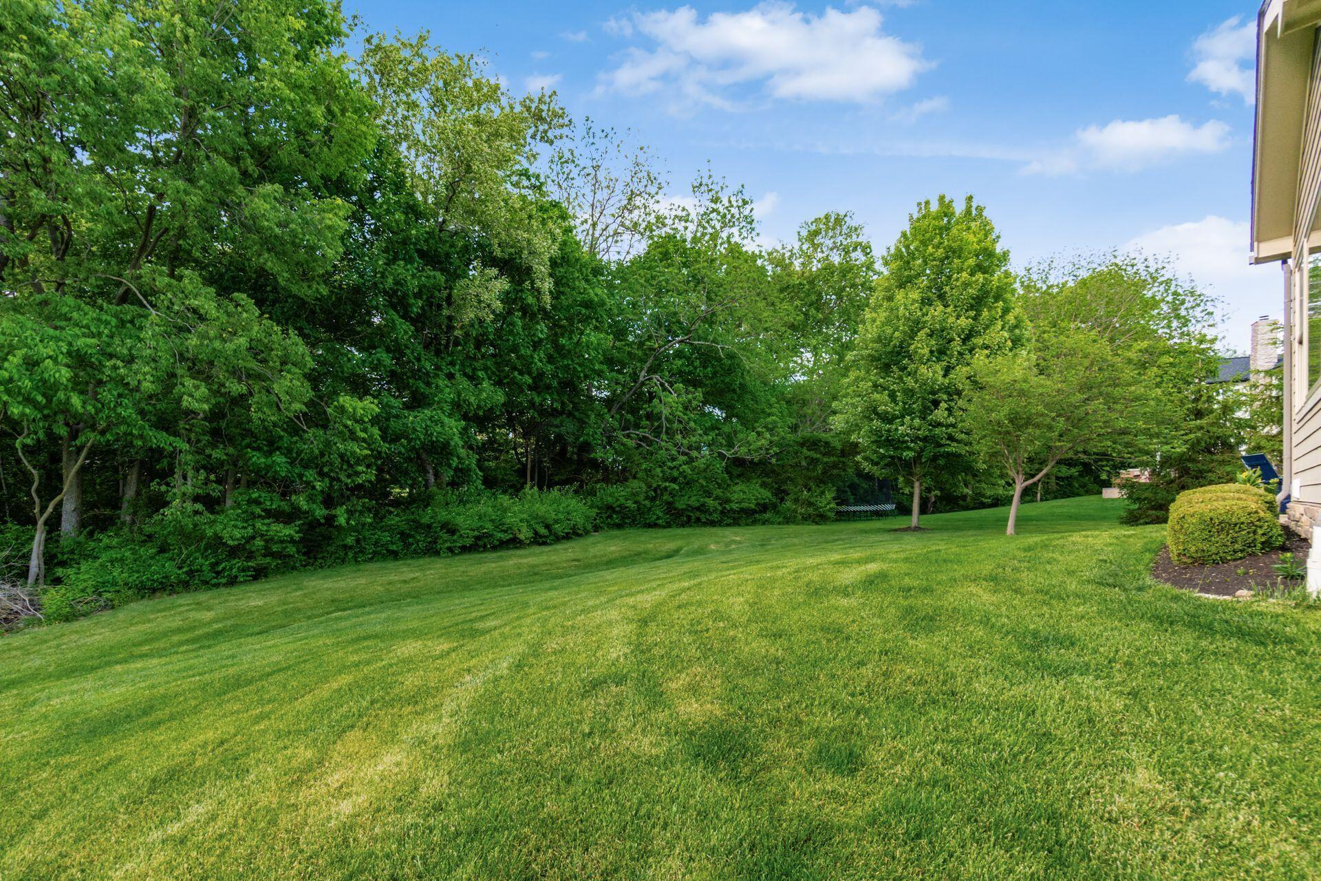 1002 Rambling Brook Way Delaware, OH 43015 - Photo 90 of 104 Wooded Yard