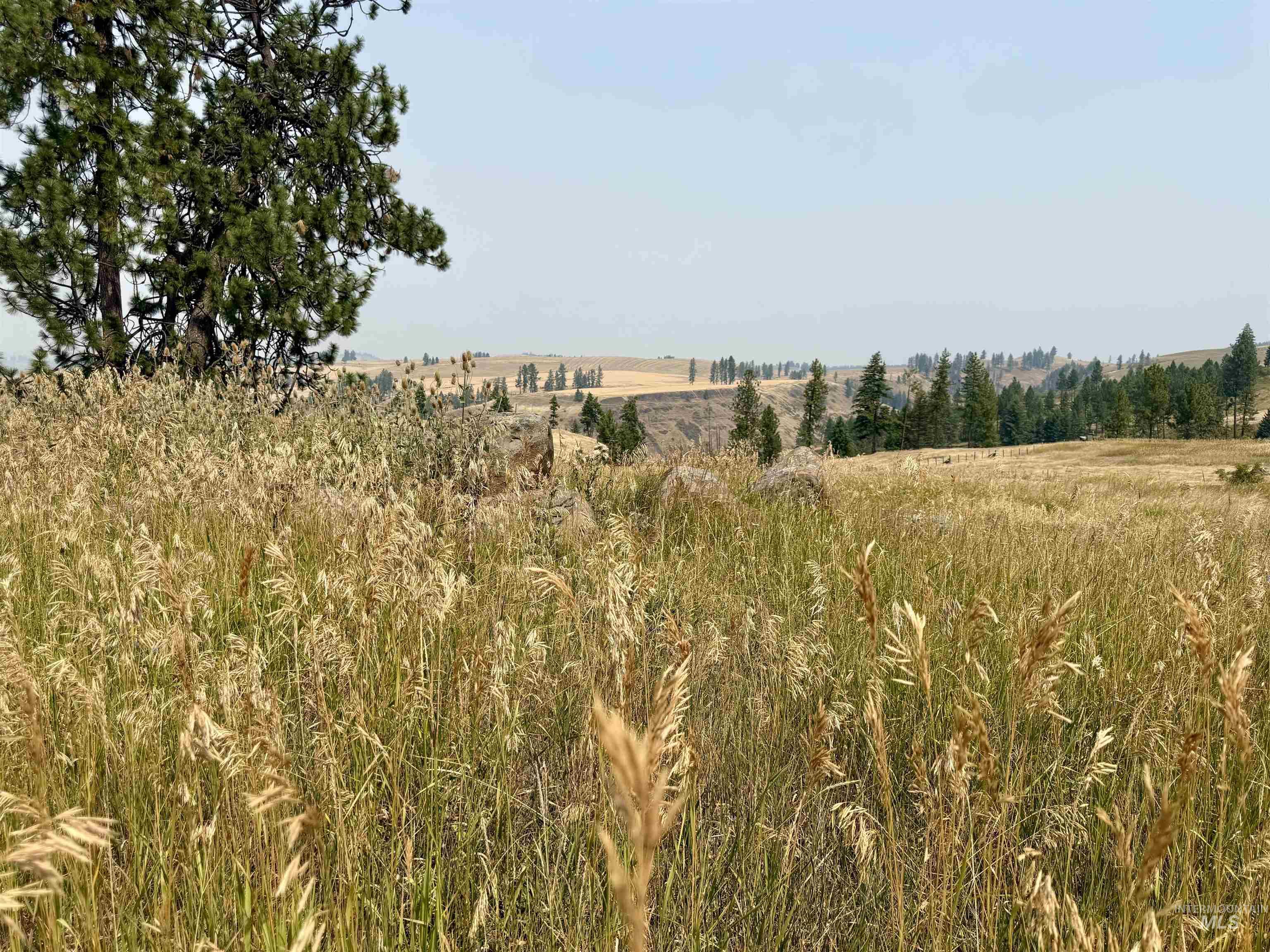1003 Beaver Slide Road Kamiah, ID 83536 - Photo 15 of 19 Gallery Image 15