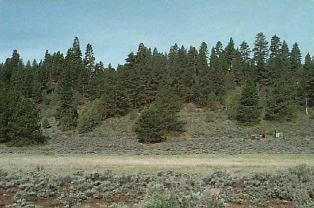 37566 Rollingwood Road Chiloquin, OR 97624 - Photo 1 of 4 Primary Photo