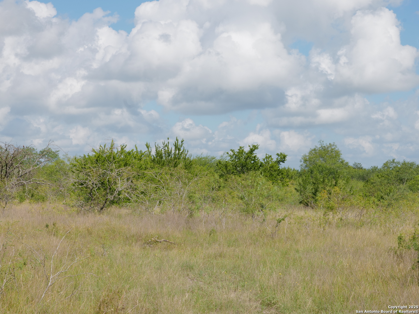 Tract 5 County Rd 208 Hobson, TX 78117 - Photo 2 of 6