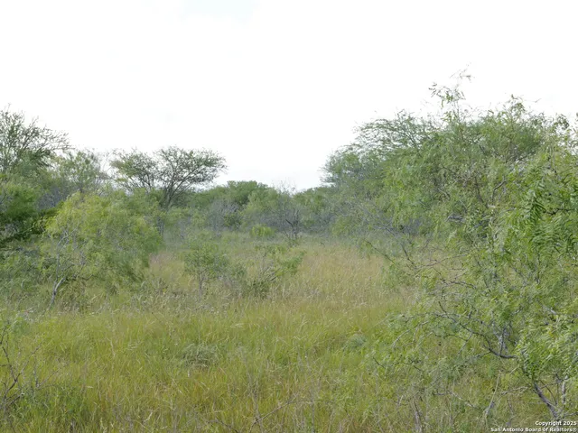 $192,000 | Tract 5 County Rd 208, Hobson, TX 78117