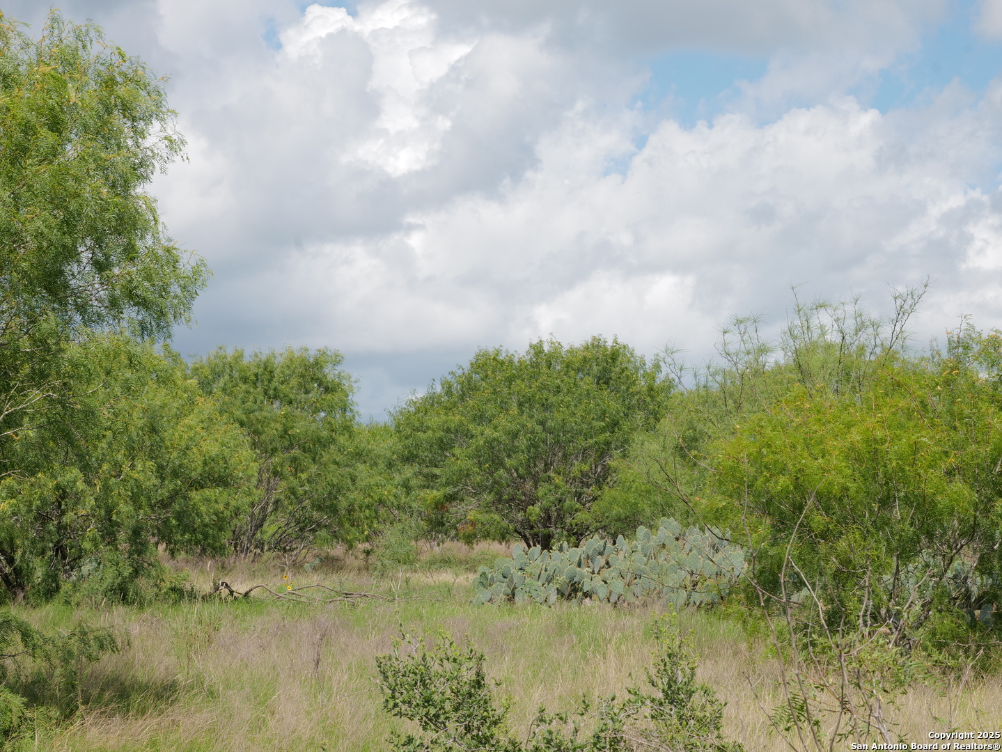 Tract 5 County Rd 208 Hobson, TX 78117 - Photo 5 of 6