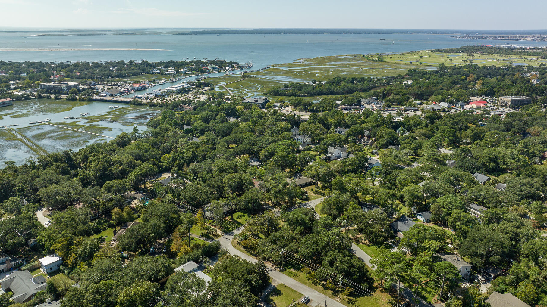 463 Japonica Road Mount Pleasant, SC 29464 - Photo 34 of 42 463Japonica-20