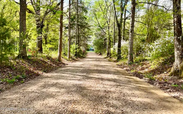$2,300,000 | 8747 River Road, Natchez, MS 39120