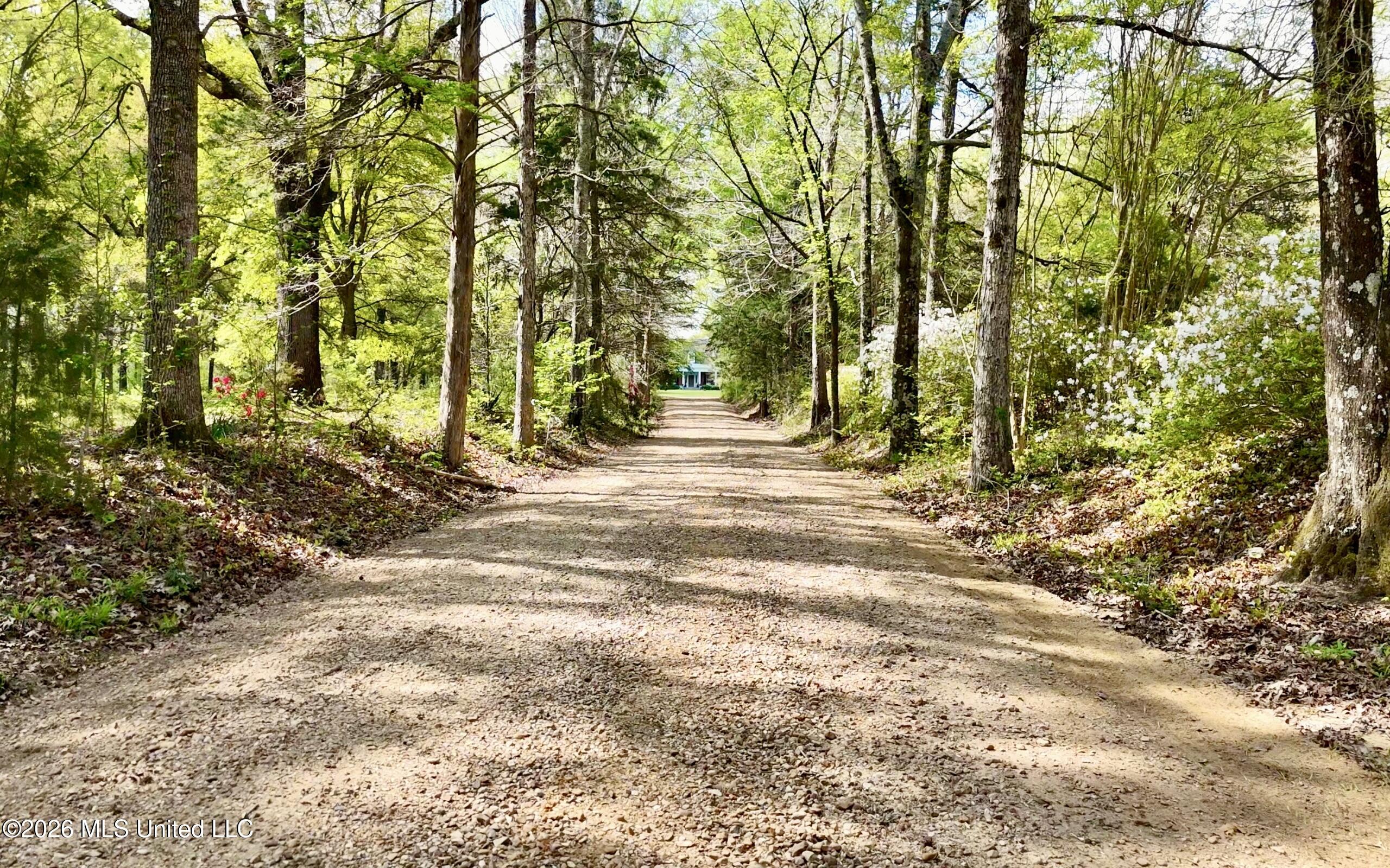 9227 River Road Natchez, MS 39120 - Photo 13 of 97 Untitled