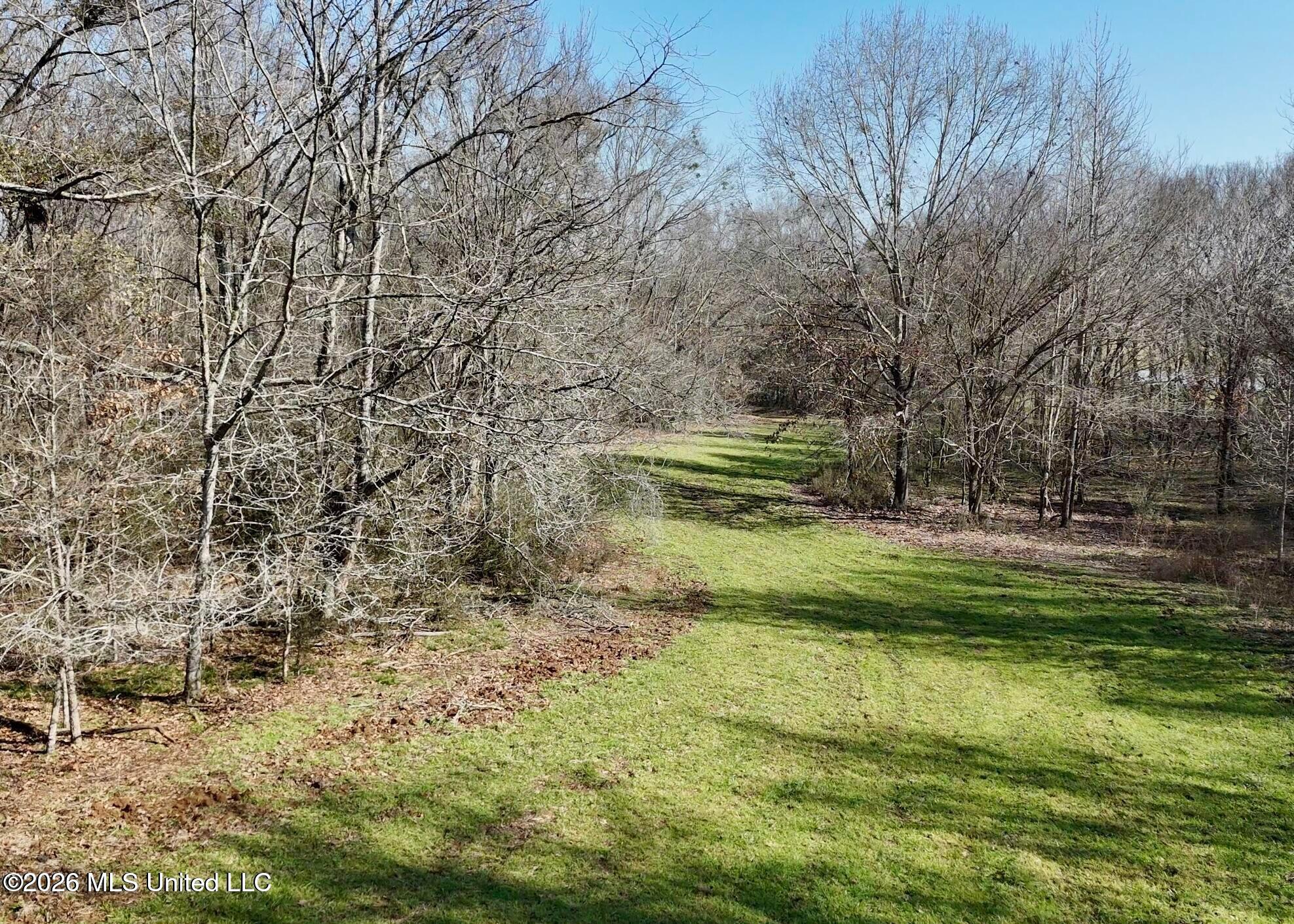 9227 River Road Natchez, MS 39120 - Photo 65 of 97 20260309172817444270000000-o