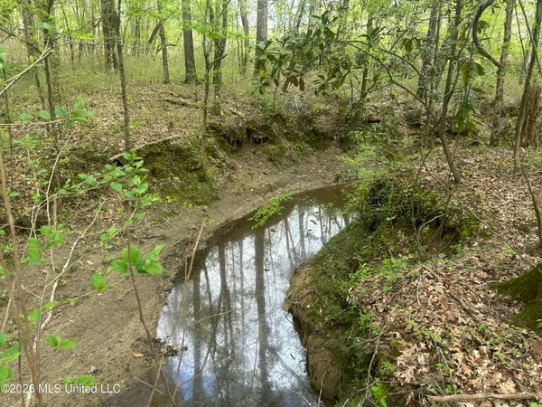 $2,300,000 | 8747 River Road, Natchez, MS 39120