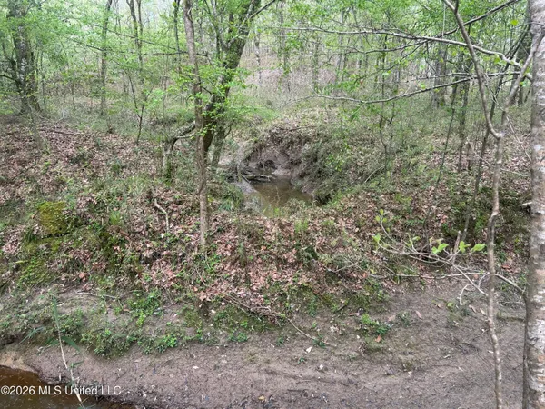 $2,300,000 | 8747 River Road, Natchez, MS 39120