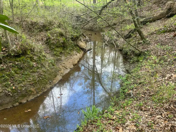 $2,300,000 | 8747 River Road, Natchez, MS 39120
