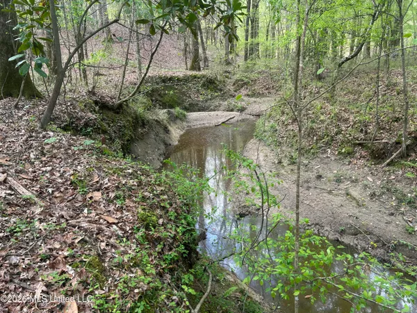 $2,300,000 | 8747 River Road, Natchez, MS 39120